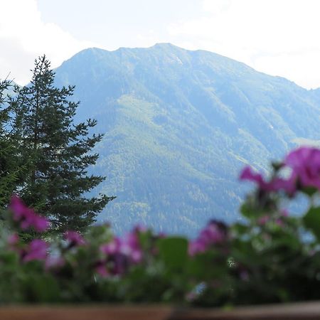 Appartamento Haus Enzian Sankt Johann im Pongau Esterno foto