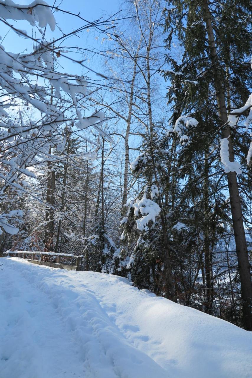 Appartamento Haus Enzian Sankt Johann im Pongau Esterno foto