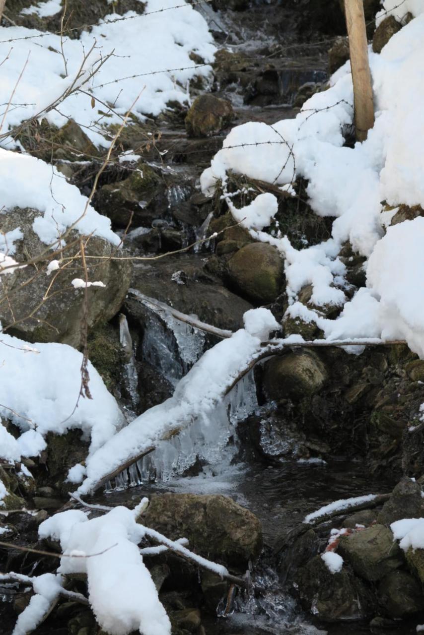 Appartamento Haus Enzian Sankt Johann im Pongau Esterno foto