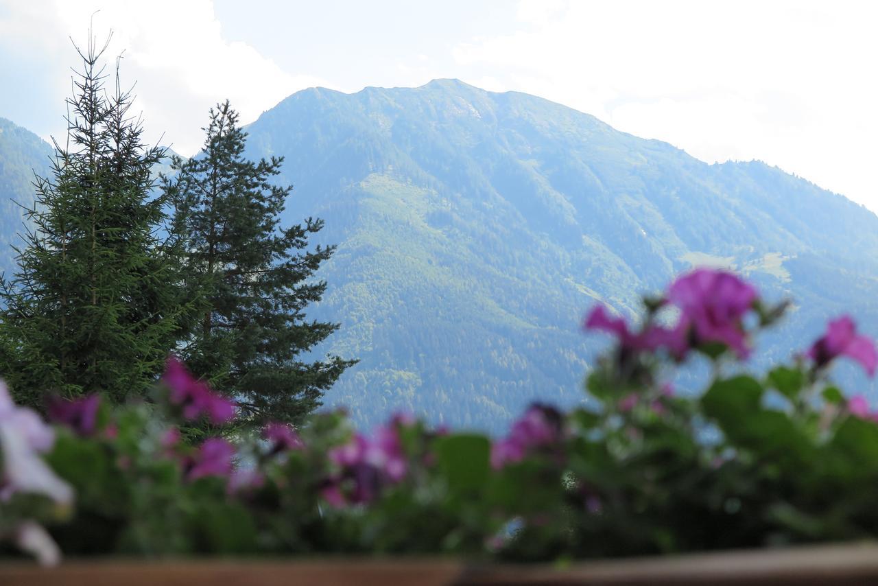 Appartamento Haus Enzian Sankt Johann im Pongau Esterno foto