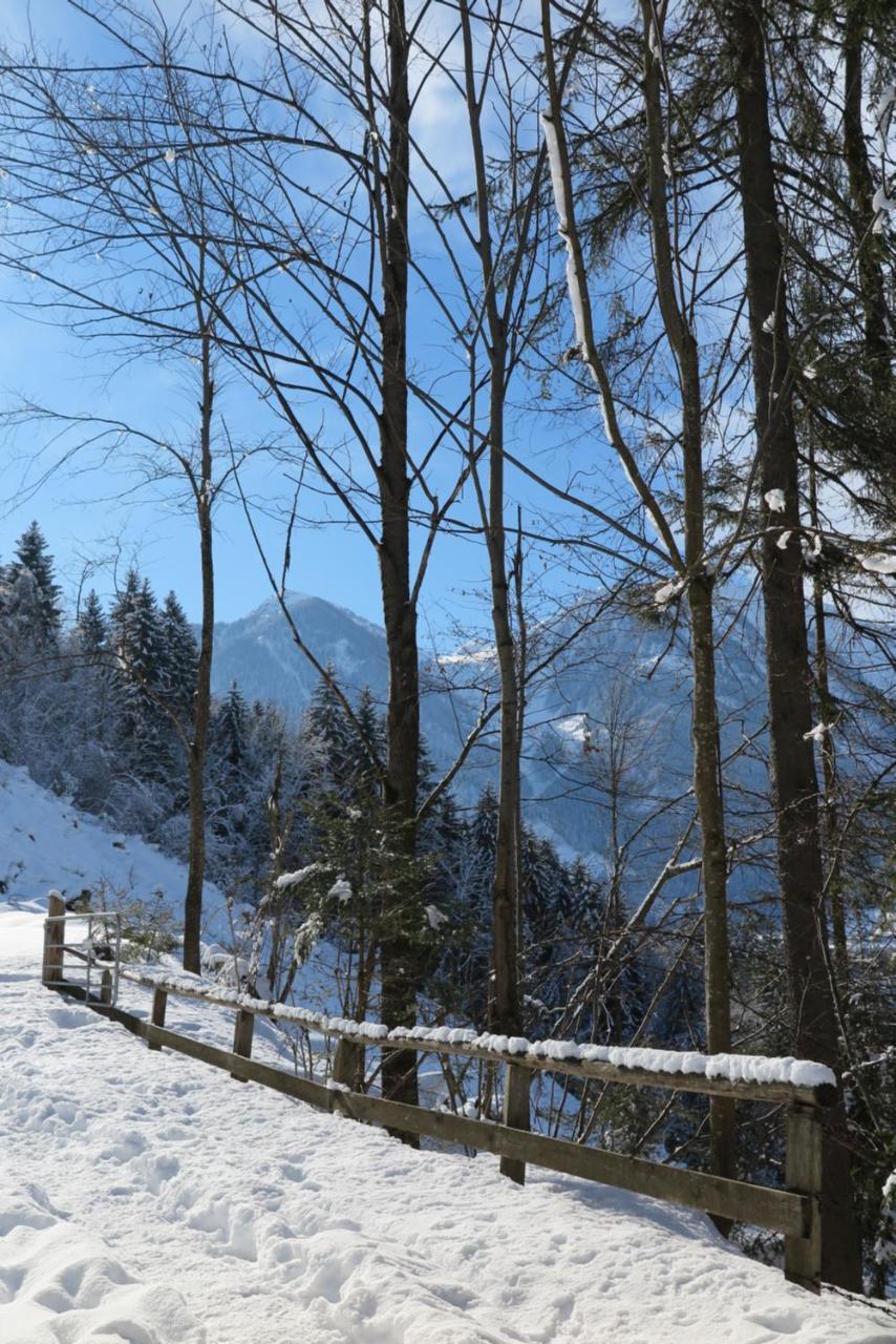 Appartamento Haus Enzian Sankt Johann im Pongau Esterno foto