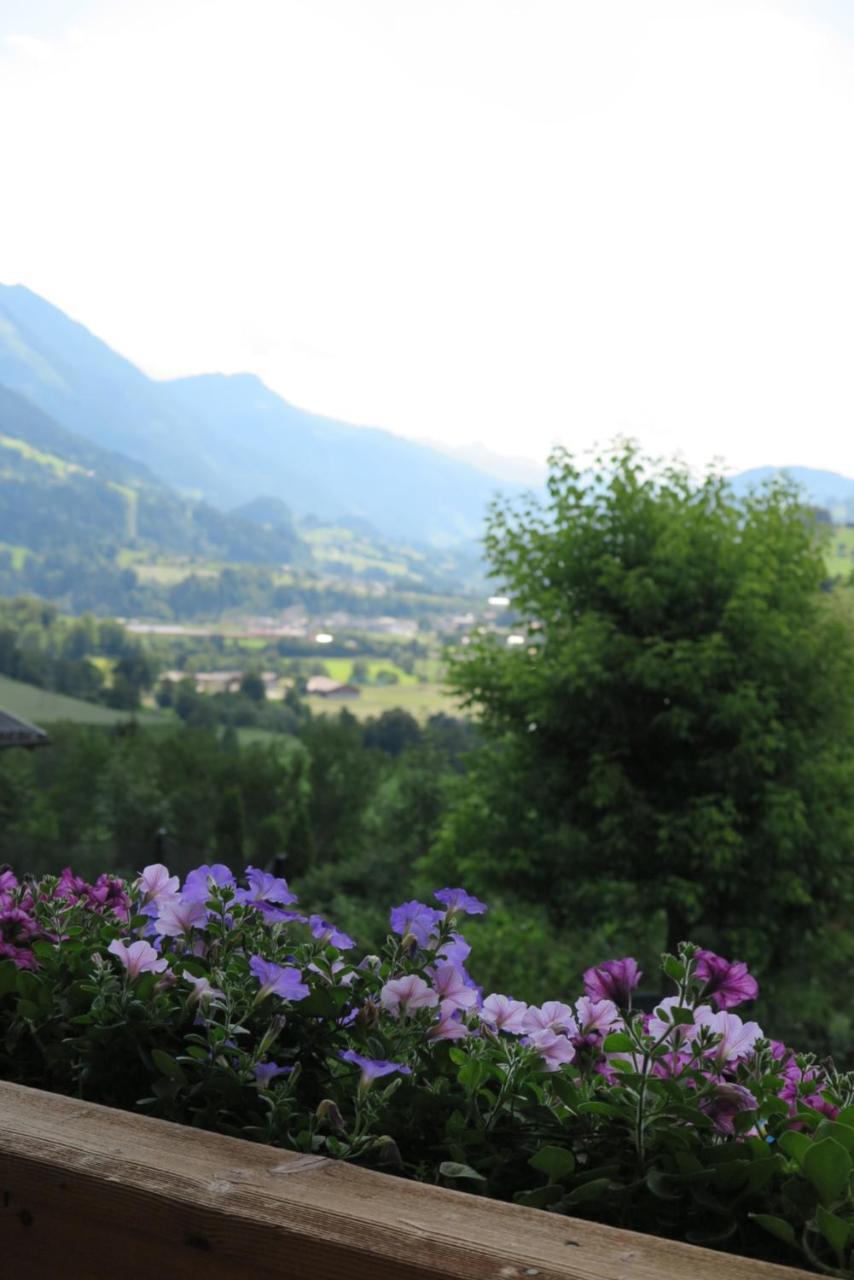 Appartamento Haus Enzian Sankt Johann im Pongau Esterno foto